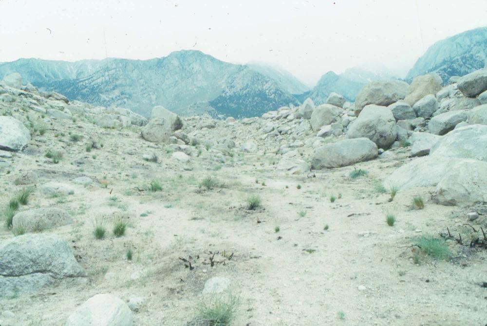 김차섭이 촬영한 국내외 풍경 사진