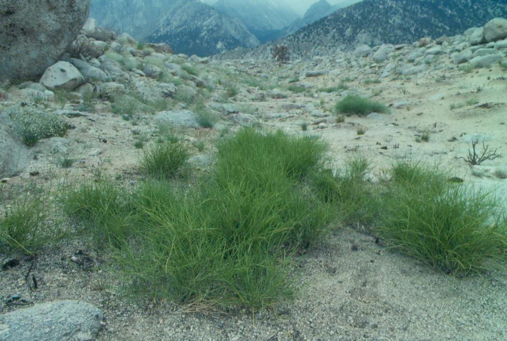 김차섭이 촬영한 국내외 풍경 사진