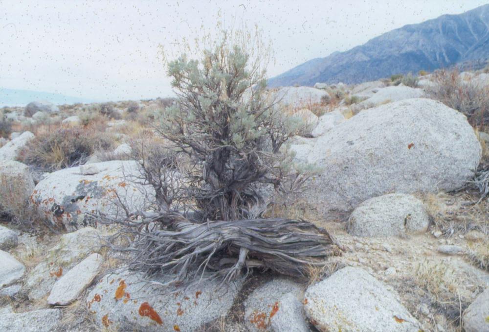 김차섭이 촬영한 국내외 풍경 사진
