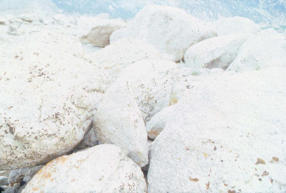 김차섭이 촬영한 국내외 풍경 사진