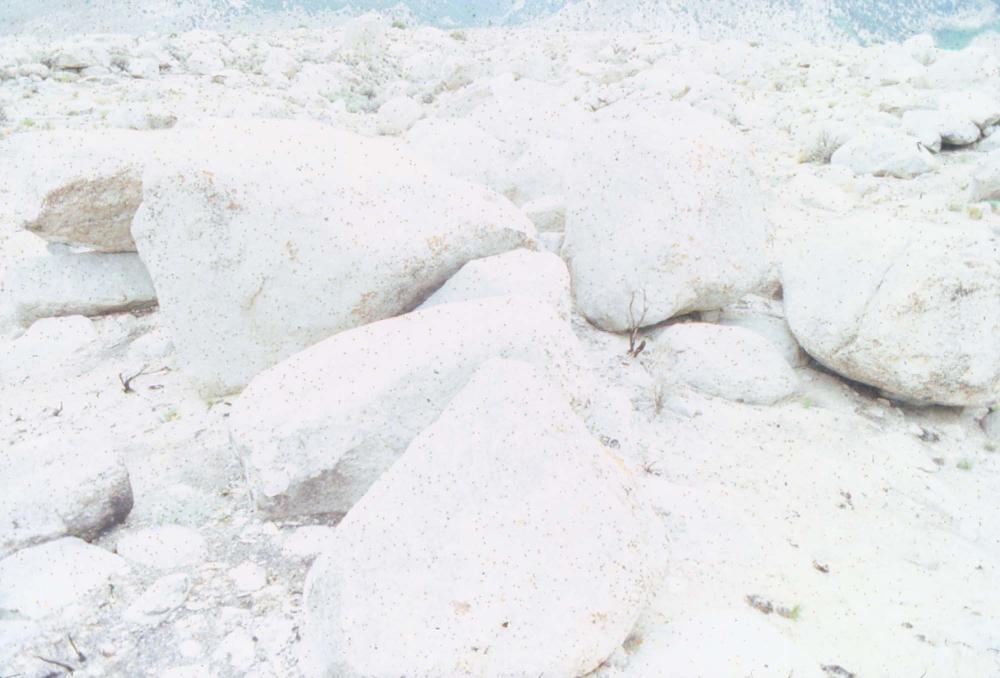 김차섭이 촬영한 국내외 풍경 사진