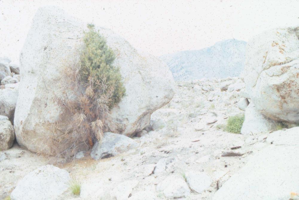 김차섭이 촬영한 국내외 풍경 사진