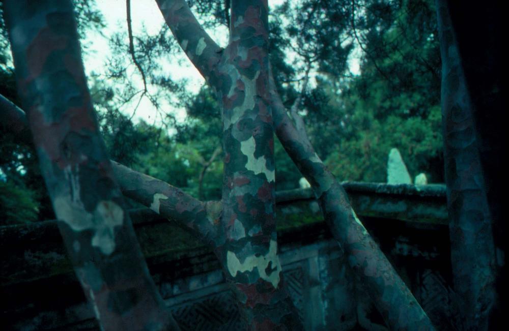 김차섭이 촬영한 국내외 풍경 사진