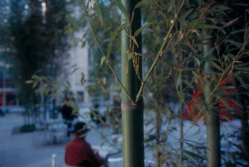 김차섭이 촬영한 국내외 풍경 사진