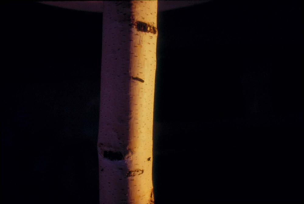 김차섭이 촬영한 국내외 풍경 사진