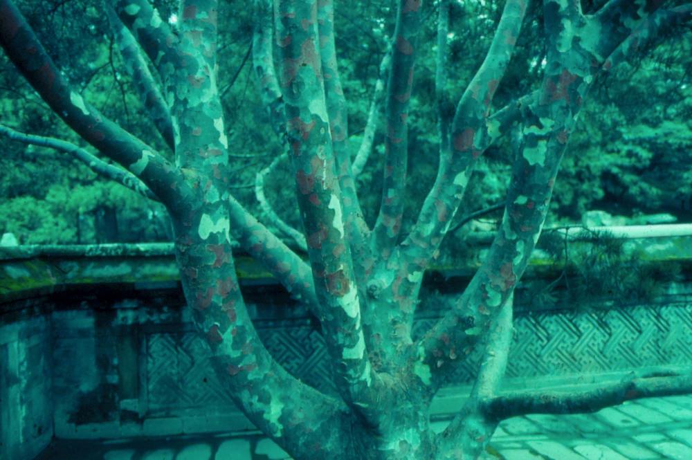 김차섭이 촬영한 국내외 풍경 사진