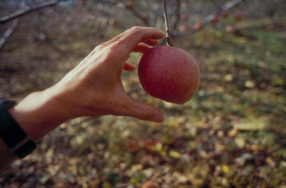 김차섭이 촬영한 국내외 풍경 사진
