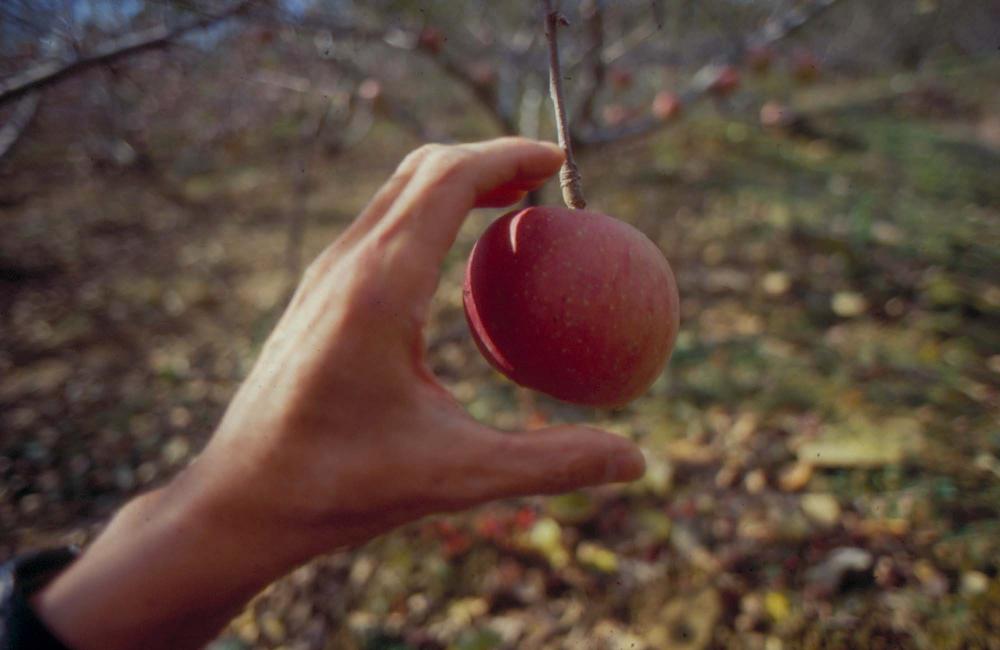 김차섭이 촬영한 국내외 풍경 사진