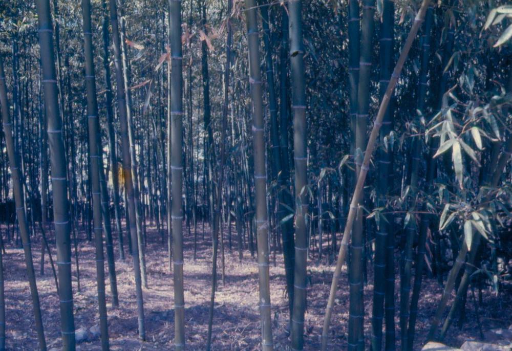 김차섭이 촬영한 국내외 풍경 사진