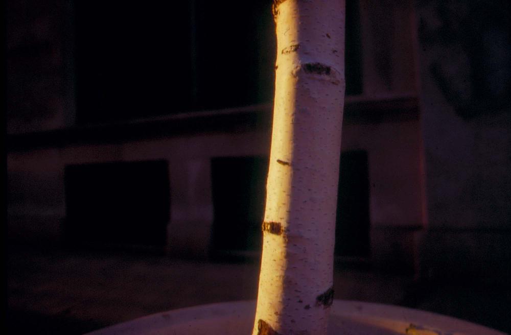 김차섭이 촬영한 국내외 풍경 사진