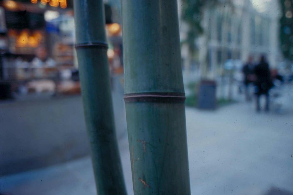 김차섭이 촬영한 국내외 풍경 사진