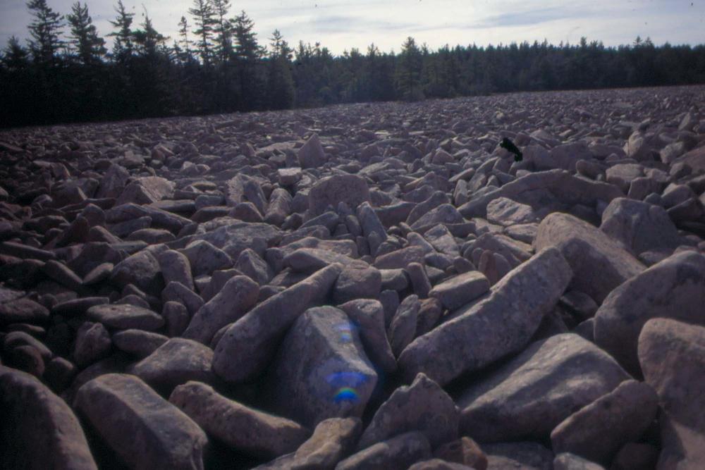 김차섭이 촬영한 국내외 풍경 사진
