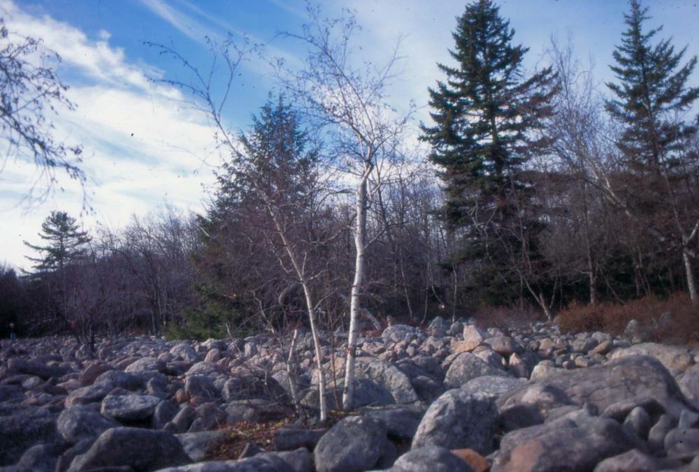 김차섭이 촬영한 국내외 풍경 사진