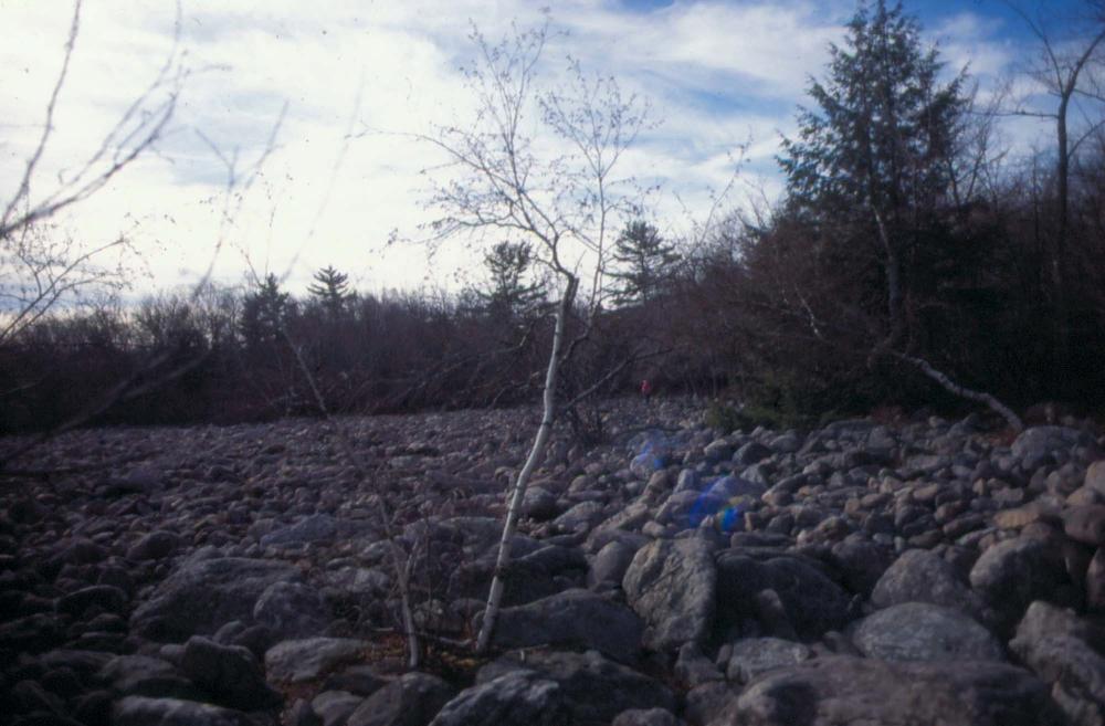 김차섭이 촬영한 국내외 풍경 사진