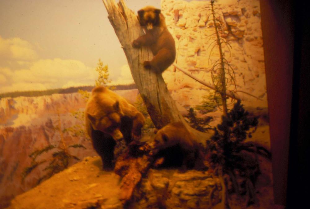 김차섭이 촬영한 국내외 풍경 사진