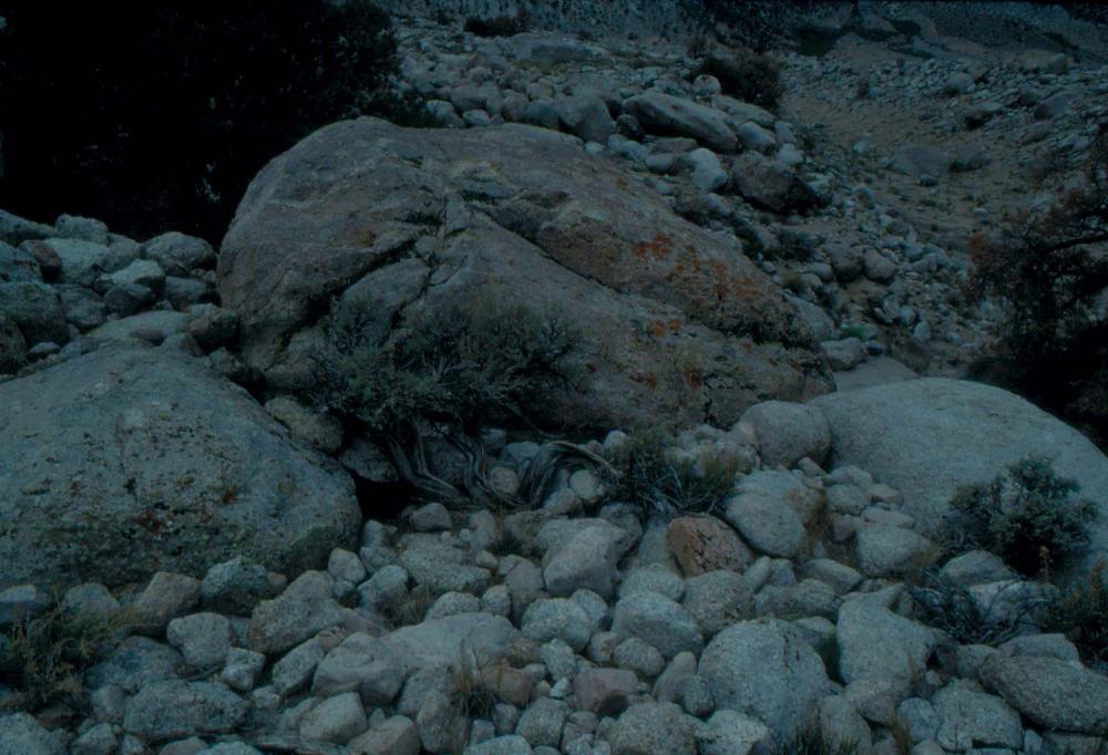 김차섭이 촬영한 국내외 풍경 사진
