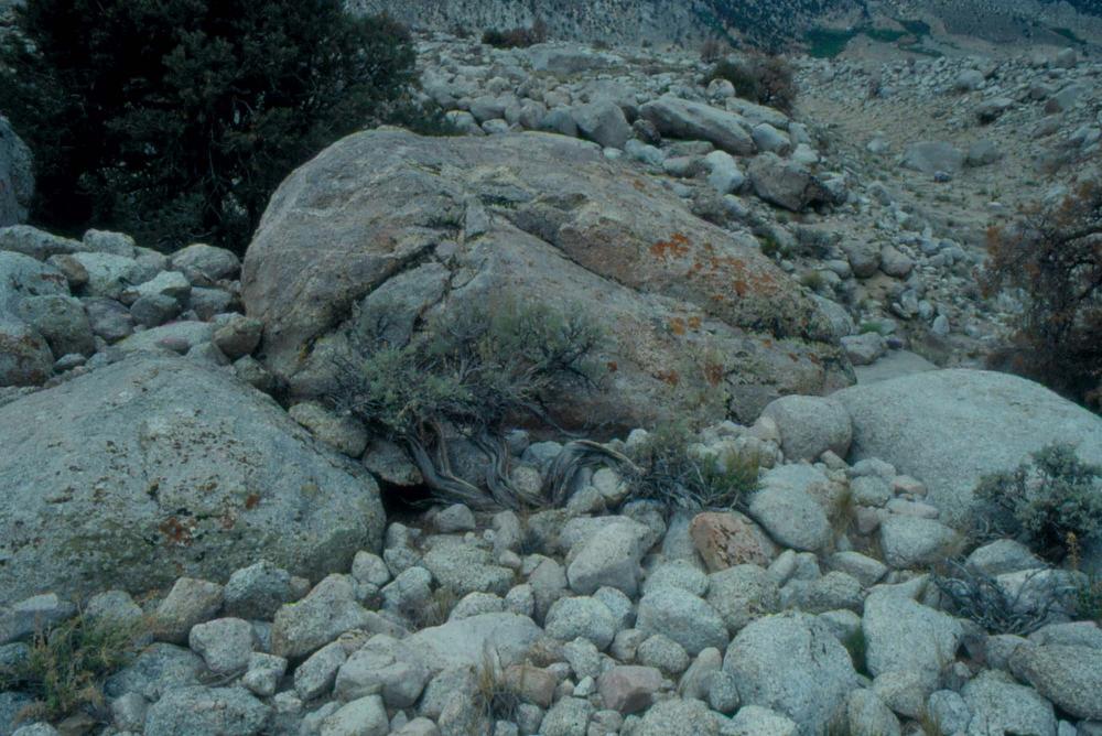 김차섭이 촬영한 국내외 풍경 사진