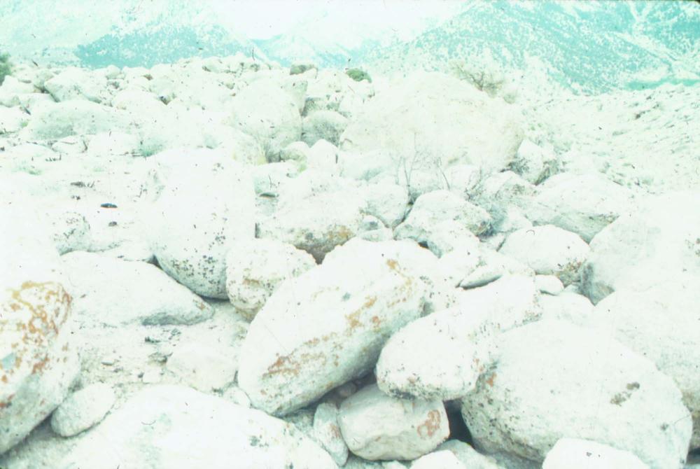 김차섭이 촬영한 국내외 풍경 사진