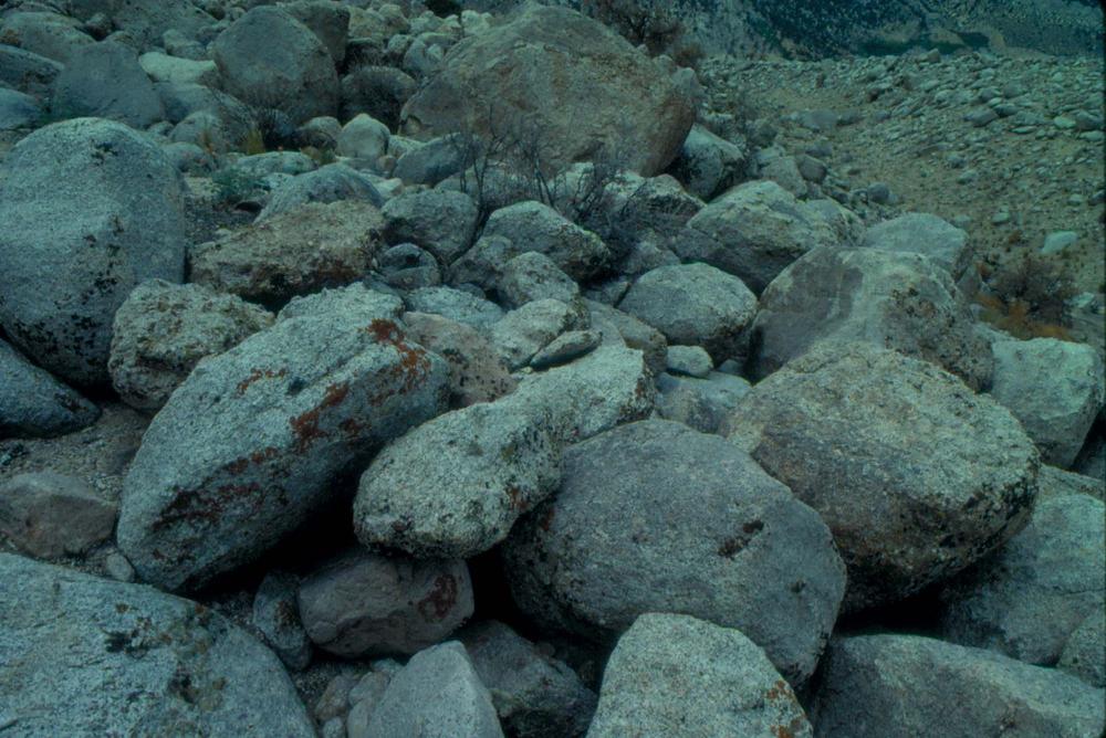 김차섭이 촬영한 국내외 풍경 사진