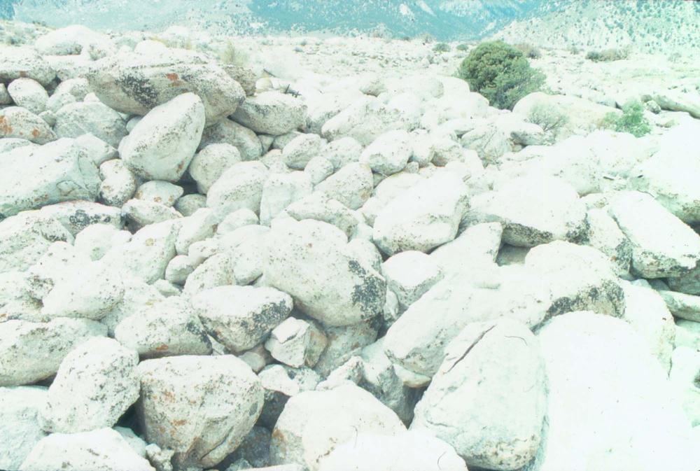 김차섭이 촬영한 국내외 풍경 사진