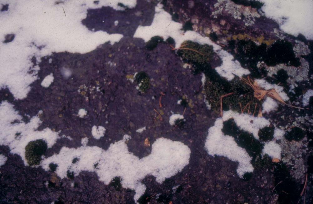 김차섭이 촬영한 국내외 풍경 사진