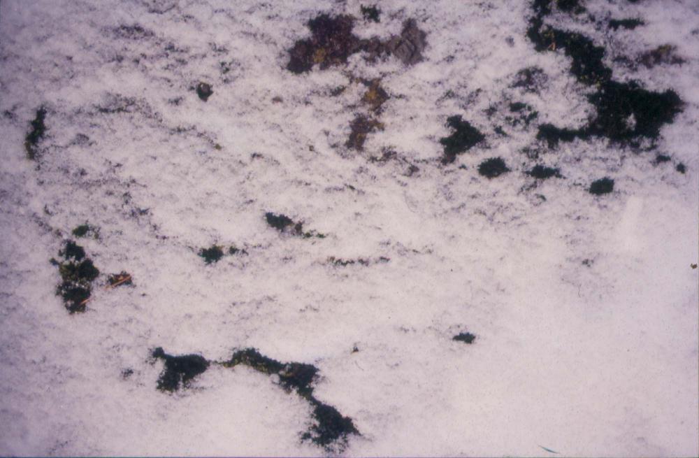 김차섭이 촬영한 국내외 풍경 사진