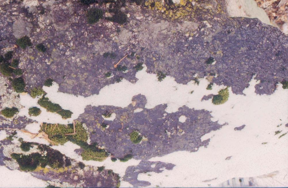 김차섭이 촬영한 국내외 풍경 사진