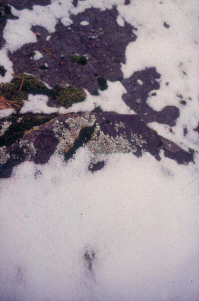 김차섭이 촬영한 국내외 풍경 사진