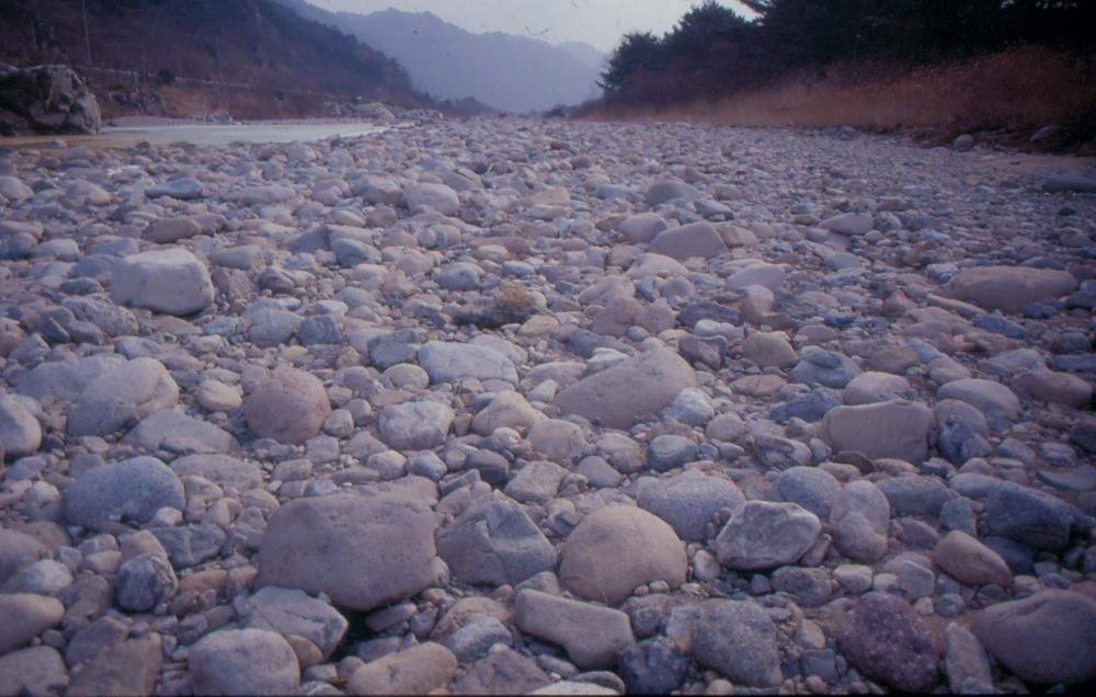 김차섭이 경주 등에서 촬영한 사진 필름 6