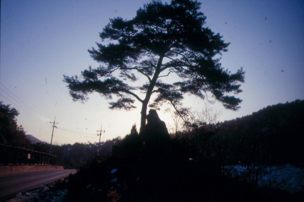 김차섭이 경주 등에서 촬영한 사진 필름 8