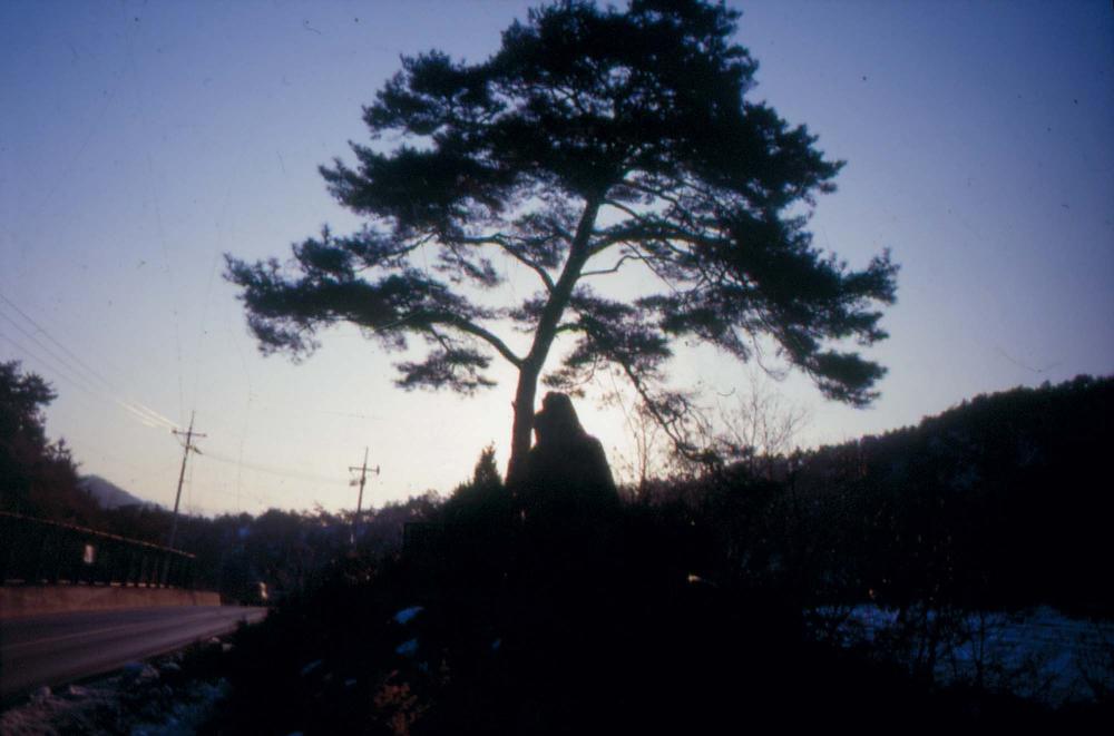 김차섭이 경주 등에서 촬영한 사진 필름