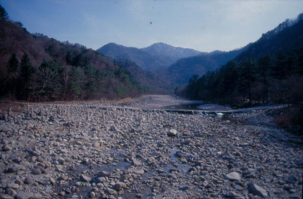 김차섭이 경주 등에서 촬영한 사진 필름
