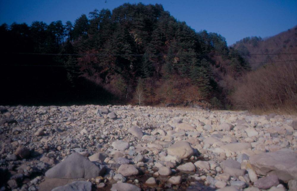 김차섭이 경주 등에서 촬영한 사진 필름