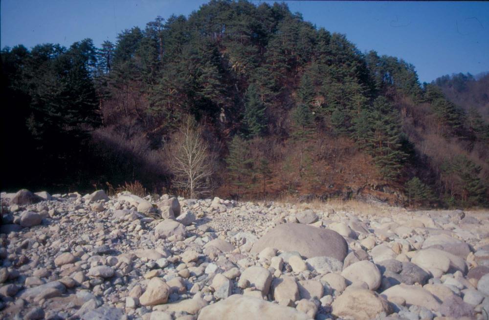 김차섭이 경주 등에서 촬영한 사진 필름