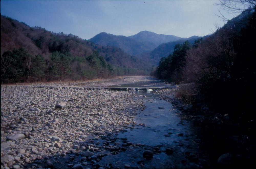 김차섭이 경주 등에서 촬영한 사진 필름