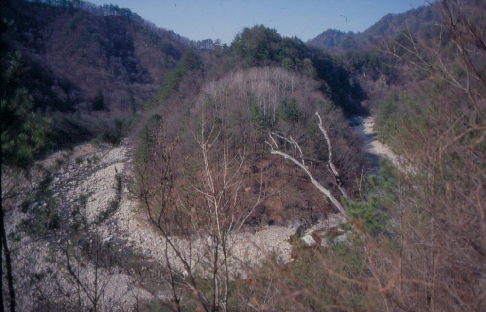 김차섭이 경주 등에서 촬영한 사진 필름