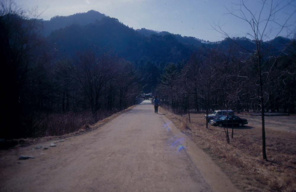 김차섭이 경주 등에서 촬영한 사진 필름