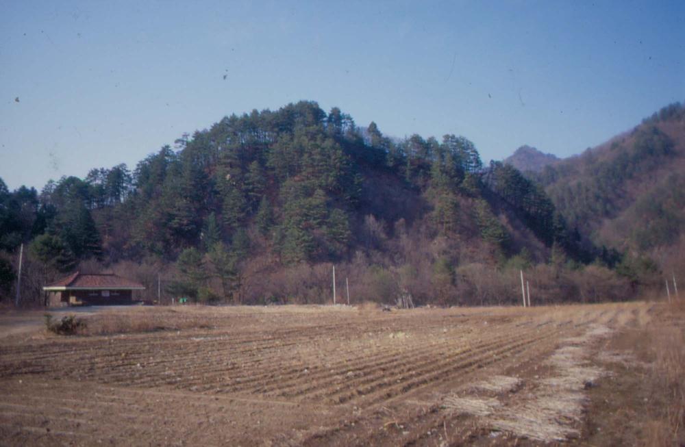 김차섭이 경주 등에서 촬영한 사진 필름