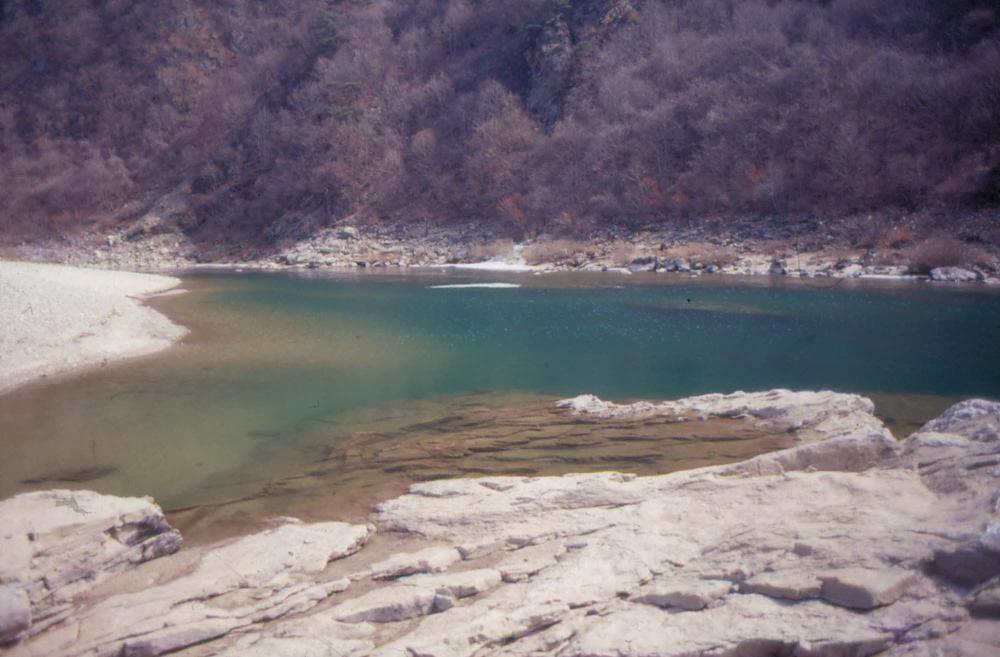 김차섭이 경주 등에서 촬영한 사진 필름