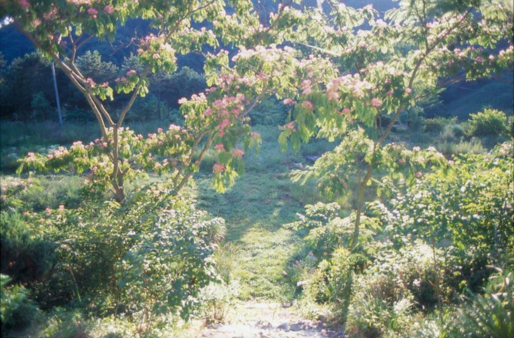 김차섭이 경주 등에서 촬영한 사진 필름