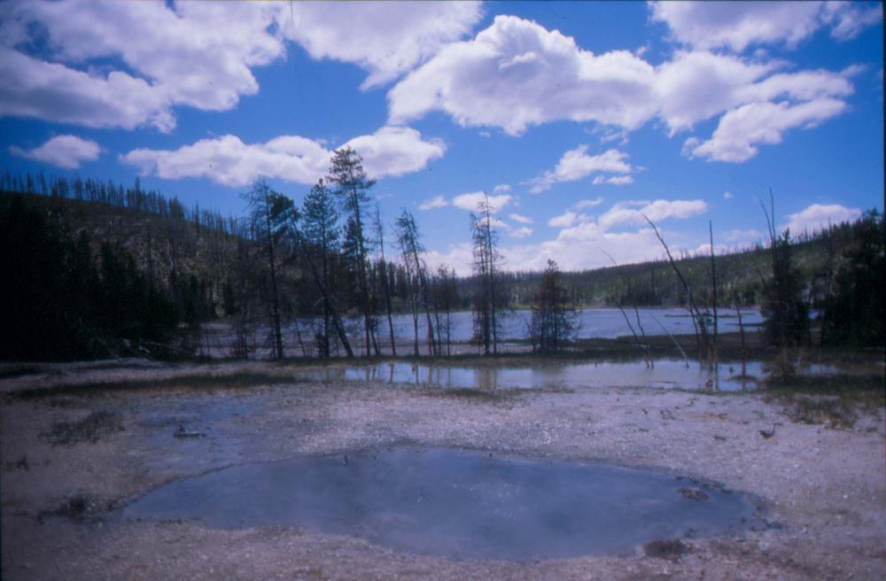 김차섭이 경주 등에서 촬영한 사진 필름