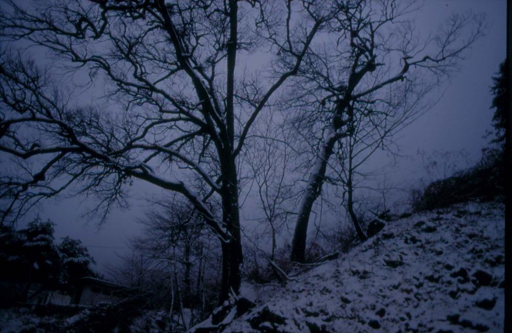 김차섭이 경주 등에서 촬영한 사진 필름