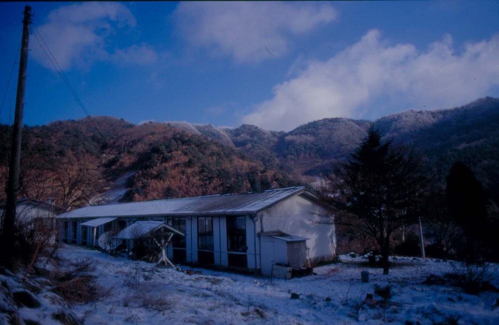 김차섭이 경주 등에서 촬영한 사진 필름