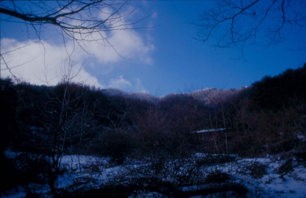 김차섭이 경주 등에서 촬영한 사진 필름