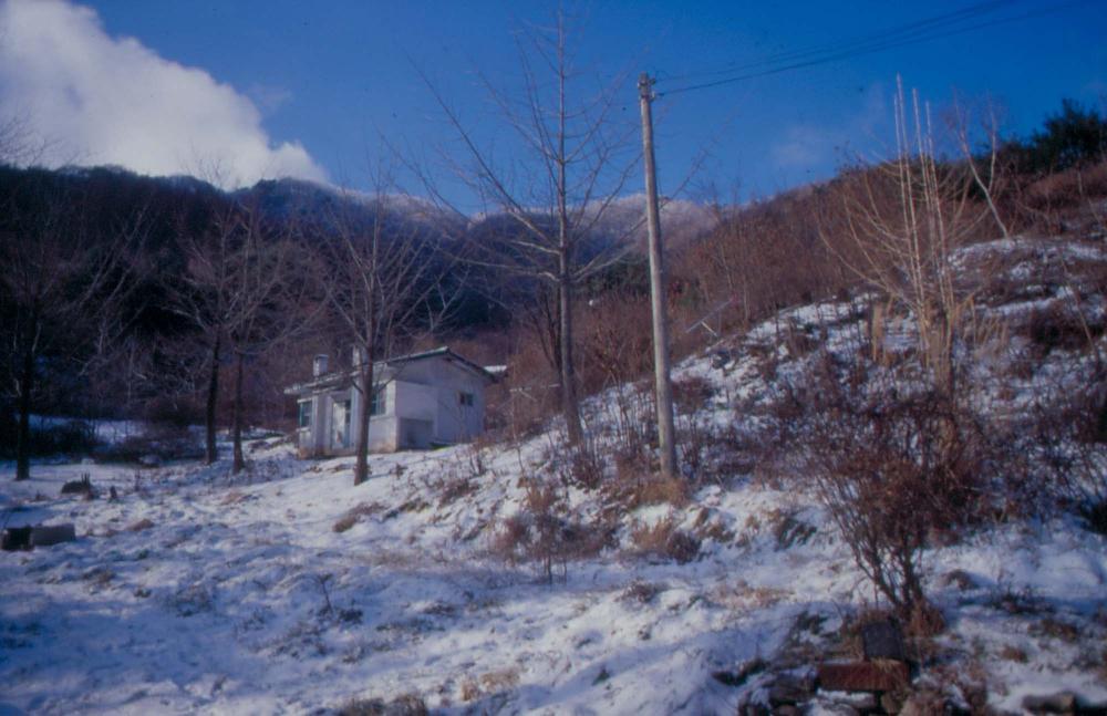 김차섭이 경주 등에서 촬영한 사진 필름