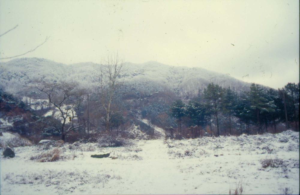 김차섭이 경주 등에서 촬영한 사진 필름