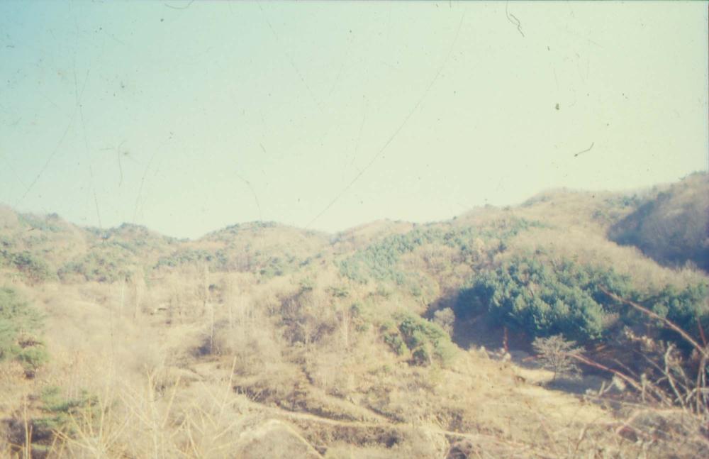 김차섭이 경주 등에서 촬영한 사진 필름