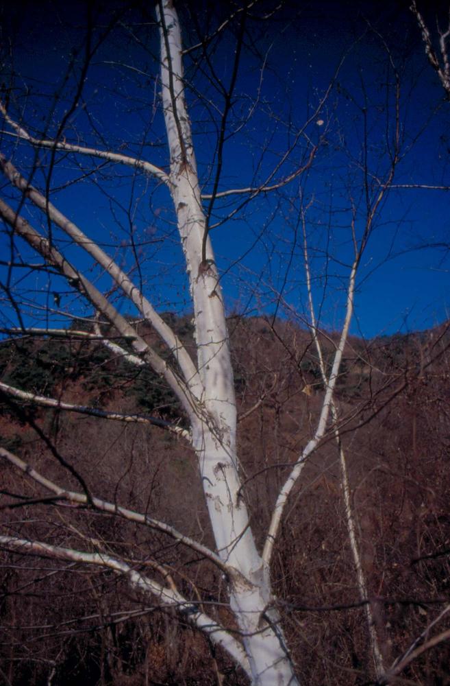 김차섭이 경주 등에서 촬영한 사진 필름