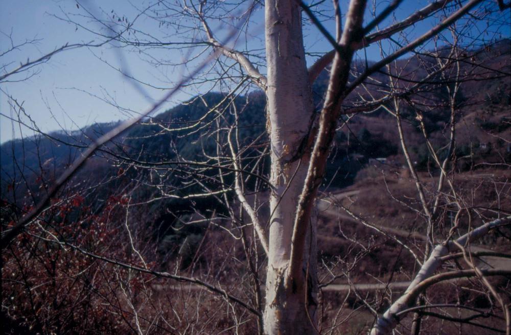 김차섭이 경주 등에서 촬영한 사진 필름