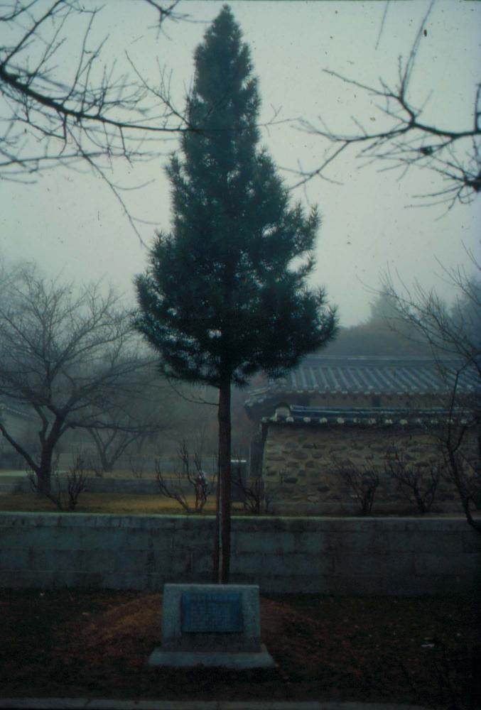 김차섭이 경주 등에서 촬영한 사진 필름